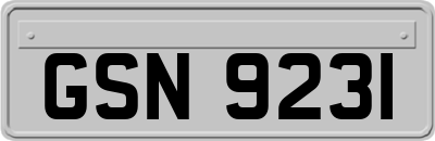 GSN9231