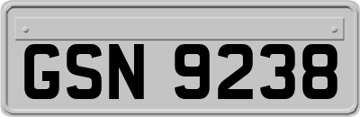 GSN9238
