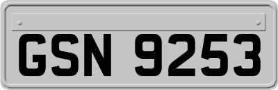 GSN9253