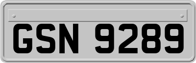 GSN9289