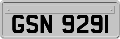 GSN9291