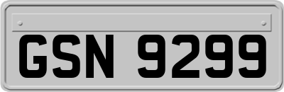GSN9299