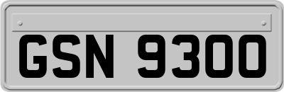 GSN9300