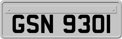 GSN9301