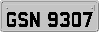 GSN9307