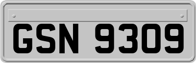 GSN9309