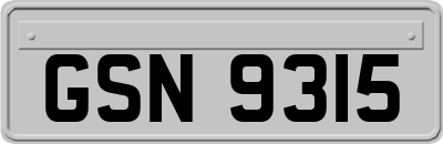 GSN9315