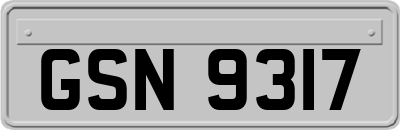 GSN9317