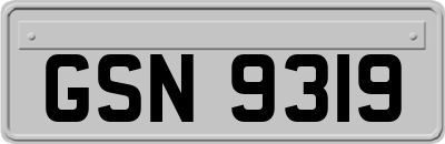 GSN9319