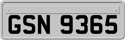 GSN9365