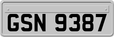 GSN9387