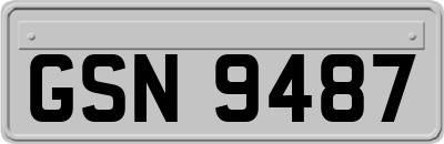 GSN9487