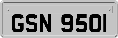 GSN9501