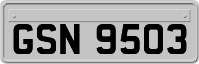 GSN9503