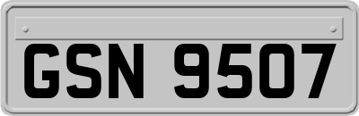 GSN9507