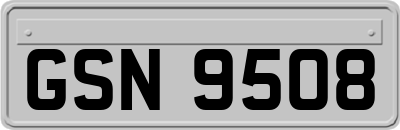 GSN9508