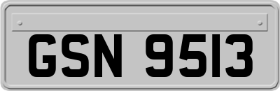 GSN9513