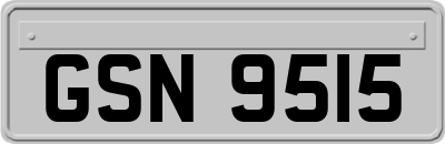 GSN9515
