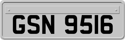 GSN9516