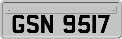 GSN9517