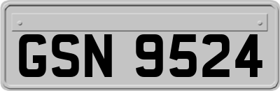 GSN9524