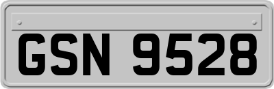 GSN9528