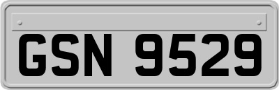 GSN9529