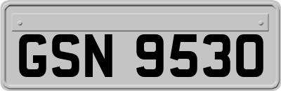 GSN9530