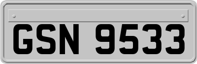 GSN9533