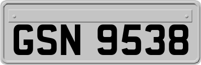 GSN9538