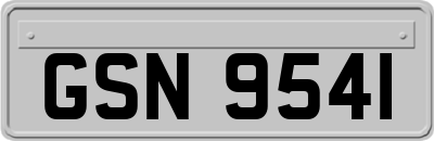 GSN9541