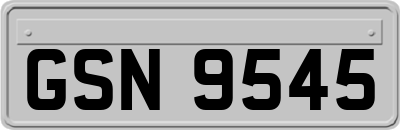 GSN9545