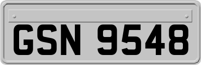 GSN9548