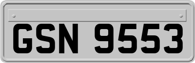 GSN9553