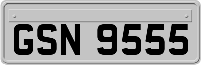 GSN9555