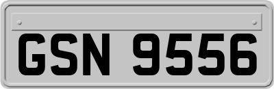 GSN9556