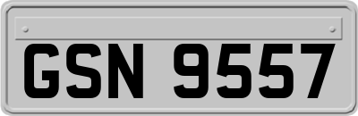 GSN9557