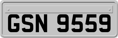 GSN9559