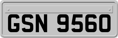 GSN9560