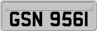 GSN9561