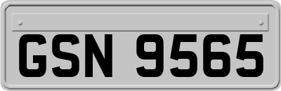 GSN9565