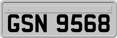 GSN9568