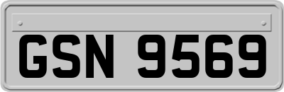 GSN9569