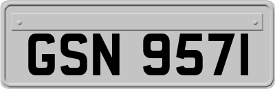 GSN9571