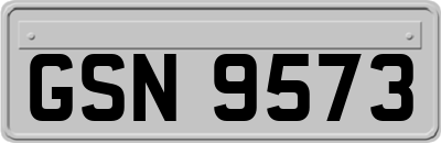 GSN9573