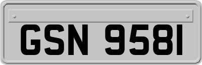 GSN9581