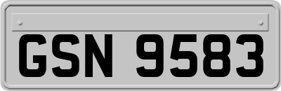 GSN9583