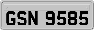 GSN9585