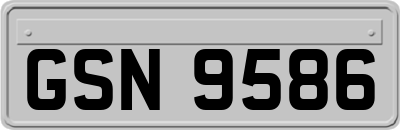 GSN9586
