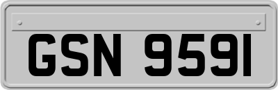 GSN9591